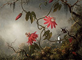 Passion Flowers with Hummingbirds 1870 By Martin Johnson Heade