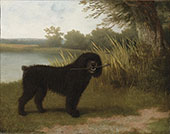 A Black Water Dog with a Stick by a Lake 1836 By Jacques-Laurent Agasse
