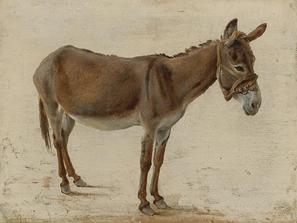 A Donkey by Jacques-Laurent Agasse | Oil Painting Reproduction
