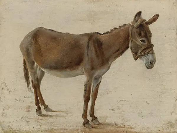 A Donkey By Jacques-Laurent Agasse