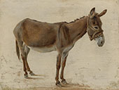 A Donkey By Jacques-Laurent Agasse