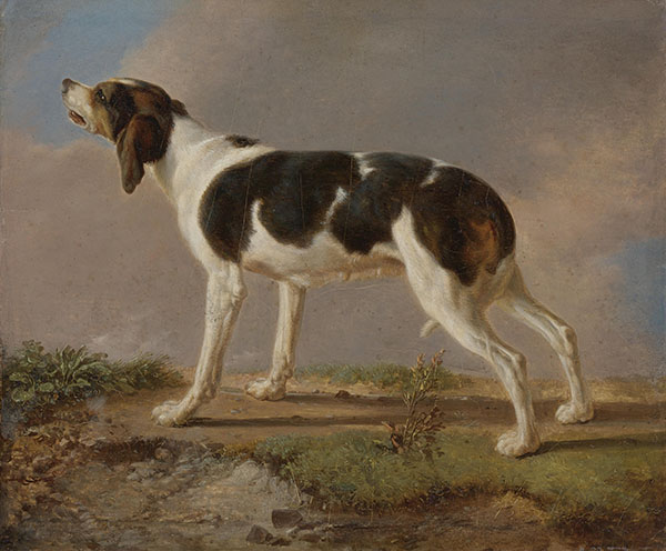 A Hunting Dog by Jacques-Laurent Agasse | Oil Painting Reproduction