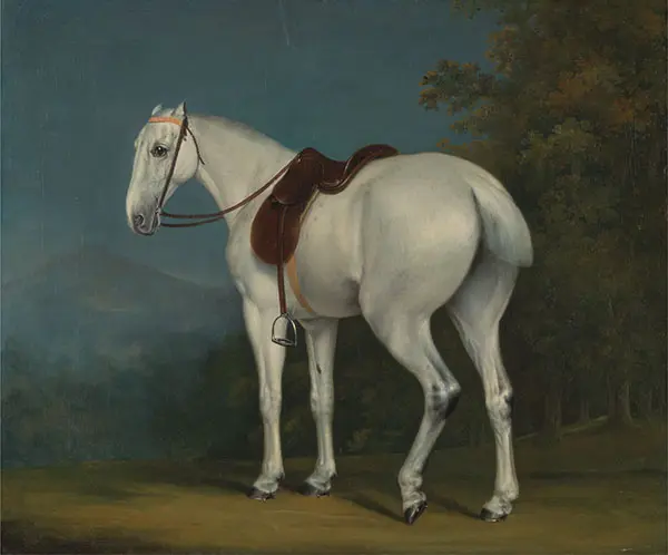 A Lady's Grey Hunter 1806 By Jacques-Laurent Agasse