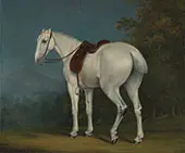 A Lady's Grey Hunter 1806 By Jacques-Laurent Agasse