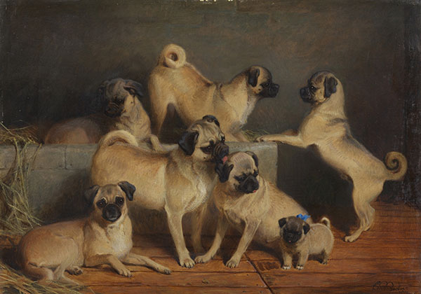 A Family of Pugs by Charles Burton Barber | Oil Painting Reproduction