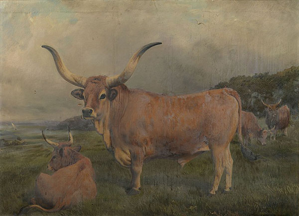 A Group of Spanish Oxen | Oil Painting Reproduction