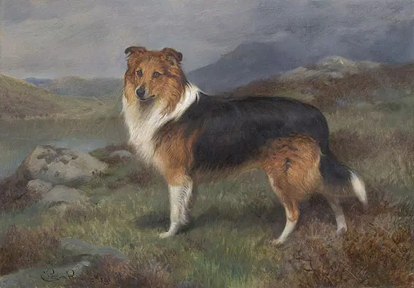 Darmley 1891 By Charles Burton Barber