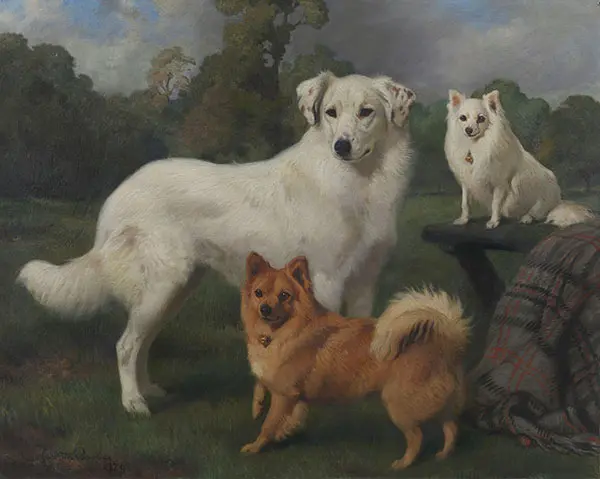 Snowball Marco and Janey By Charles Burton Barber