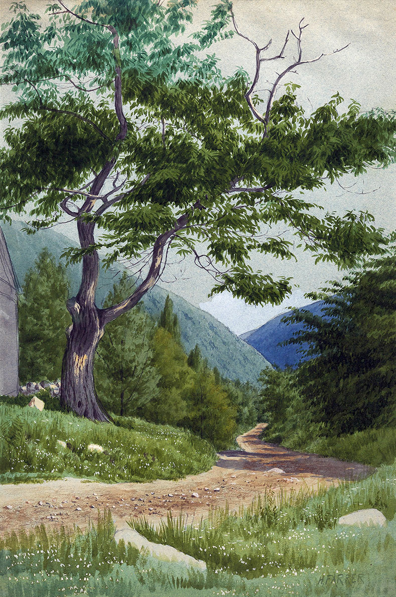 Elm Tree Along Side Country Road | Oil Painting Reproduction
