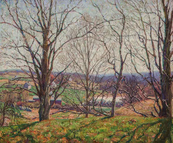 Tress in The Green Grass By Wilson H Irvine