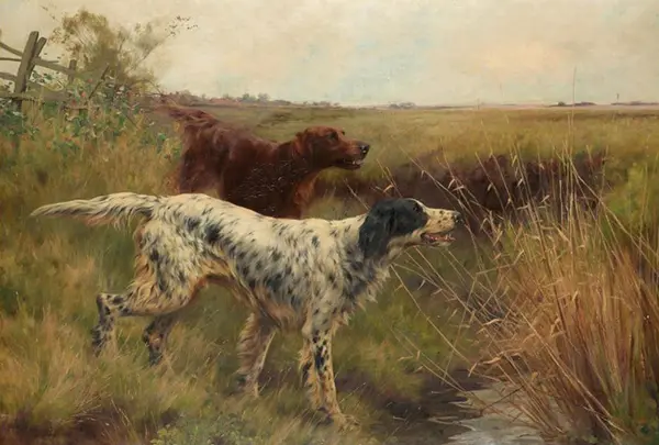 An English and an Irish Setter in a Landscape By Thomas Blinks