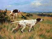 On Point By Thomas Blinks