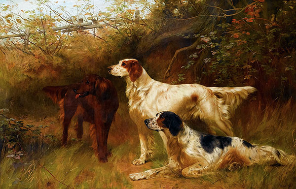 Setters by Thomas Blinks | Oil Painting Reproduction