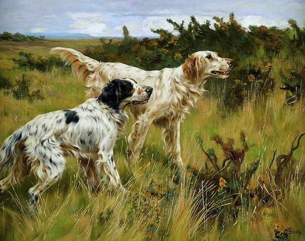 Two English Setters 1 by Thomas Blink | Oil Painting Reproduction