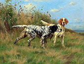 Two English Setters 2 By Thomas Blinks