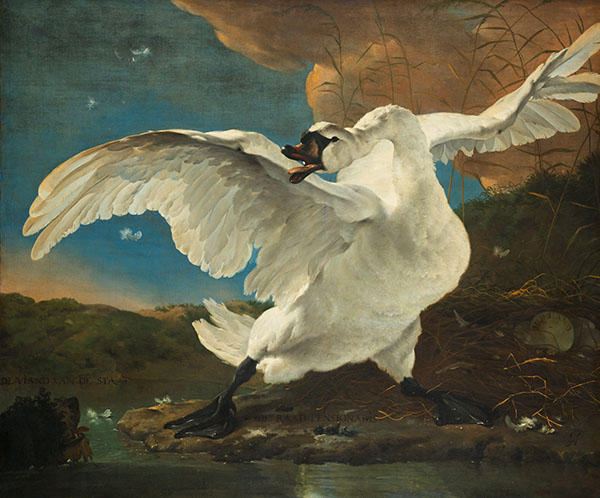 The Threatened Swan 1640 by Jan Asselijn | Oil Painting Reproduction