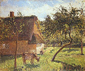 Field at Varengeville By Camille Pissarro