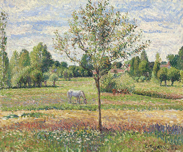 Meadow with Grey Horse Eragny | Oil Painting Reproduction