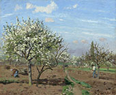 Orchard in Bloom Louveciennes By Camille Pissarro