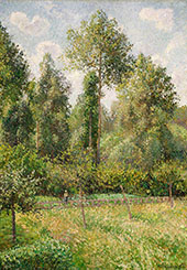 Poplars Eragny By Camille Pissarro