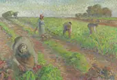 The Beet Harvest By Camille Pissarro
