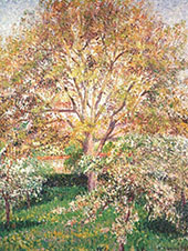 Walnut and Apple Trees in Bloom Eragny By Camille Pissarro