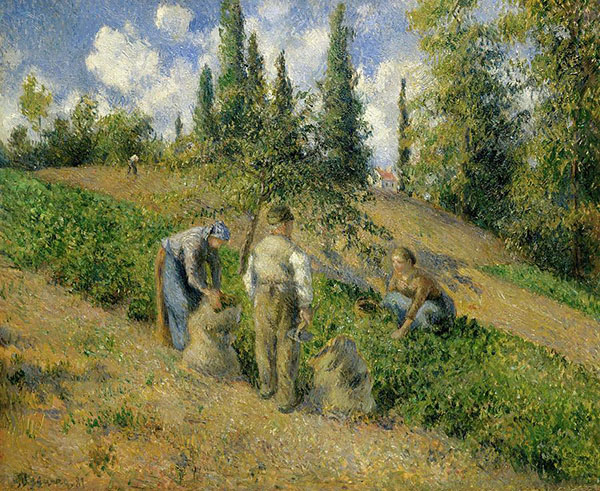 The Harvest Pontoise by Camille Pissarro | Oil Painting Reproduction