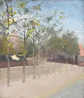 Plane Trees By Paul Fordyce Maitland