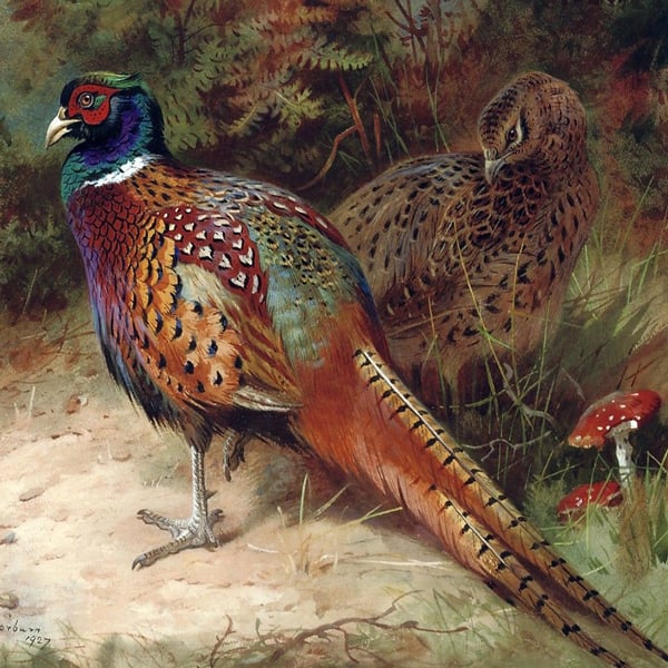 Oil Painting Reproductions of Archibald Thorburn