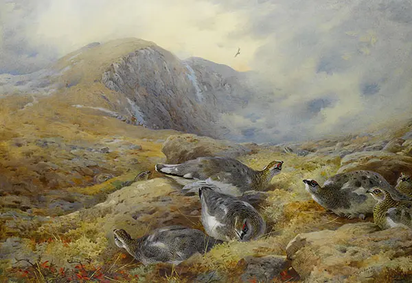 Danger Aloft Ptarmigan 1927 By Archibald Thorburn