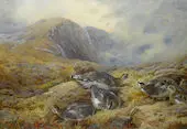Danger Aloft Ptarmigan 1927 By Archibald Thorburn