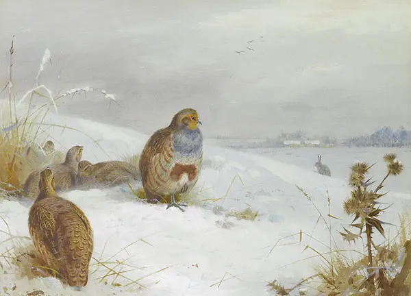 Hard Times Partridges and a Hare 1892 By Archibald Thorburn