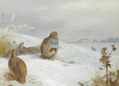 Hard Times Partridges and a Hare 1892 By Archibald Thorburn