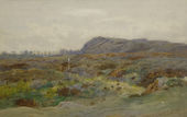 Moorland Landscape 1897 By Archibald Thorburn