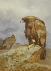 Pair of Golden Eagles By Archibald Thorburn