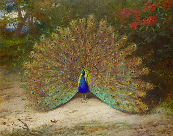 Peacock and Peacock Butterfly | Oil Painting Reproduction