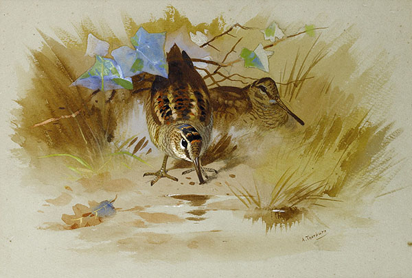 Woodcock in a Sandy Hollow 1935 | Oil Painting Reproduction