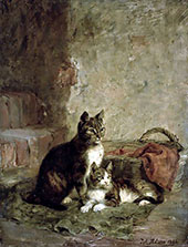 Cats By Julius Adam