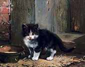 Kitten 1 By Julius Adam