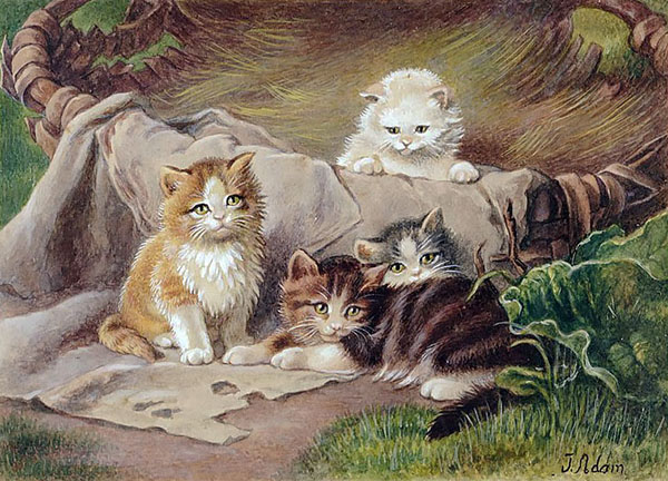 Playing Cats by Julius Adam | Oil Painting Reproduction