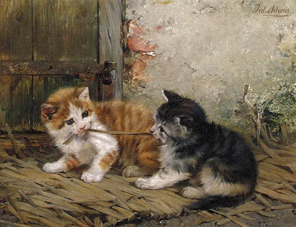 Tug of War By Julius Adam