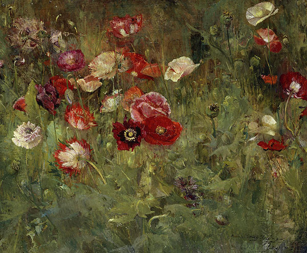 A Bed of Poppies 1909 by Maria Oakey Dewing | Oil Painting Reproduction