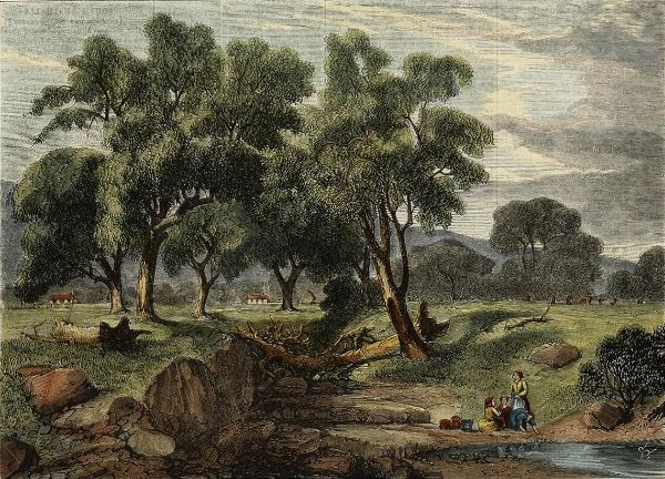 A Dry Creek at Coleraine by Louis Buvelot | Oil Painting Reproduction