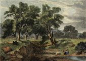 A Dry Creek at Coleraine By Louis Buvelot