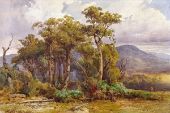 Yarra Flats 1871 By Louis Buvelot