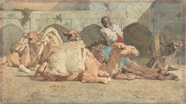 Camels Reposing Tangiers by Maria Fortuny | Oil Painting Reproduction
