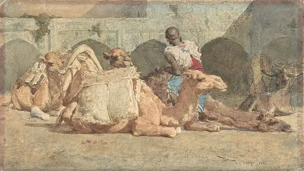 Camels Reposing Tangiers By Maria Fortuny