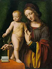 The Virgin of the Columbine By Bernardino Luini