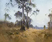 Gum at Kangaroo Flat 1921 By Penleigh Boyd