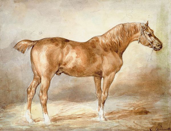 A Docked Chestnut Horse by Theodore Gericault | Oil Painting Reproduction